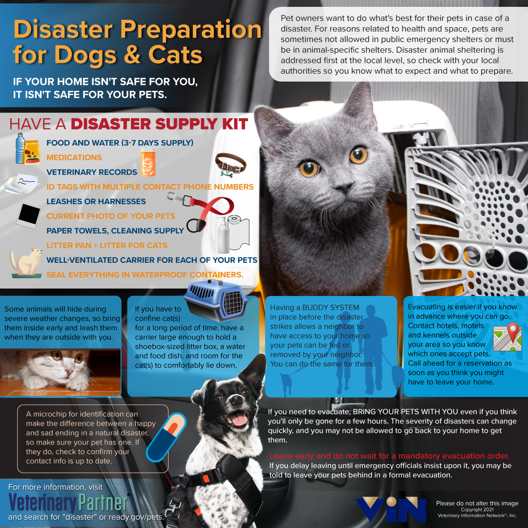 Disaster Preparation for Dogs and Cats Infographic by VIN