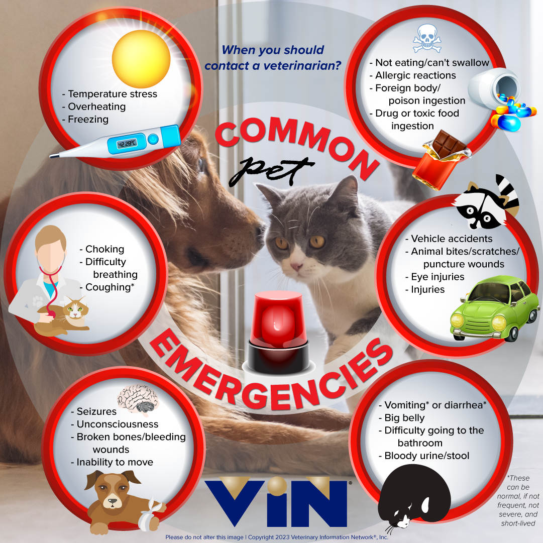 Common Pet Emergencies Infographic by VIN